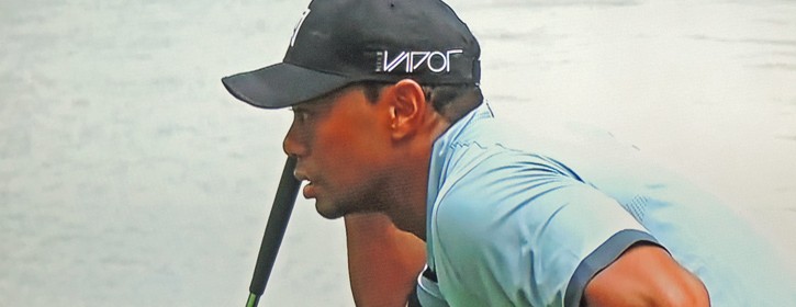 Tiger Woods 2015